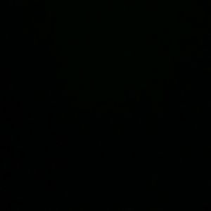 Meet your Posher, Tim